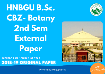 BSc CBZ- Botany 2nd Sem paper