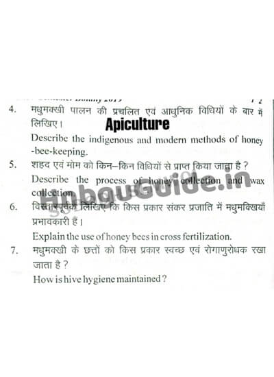 BSc 5th sem Apiculture (CBZ) Question Papers pdf